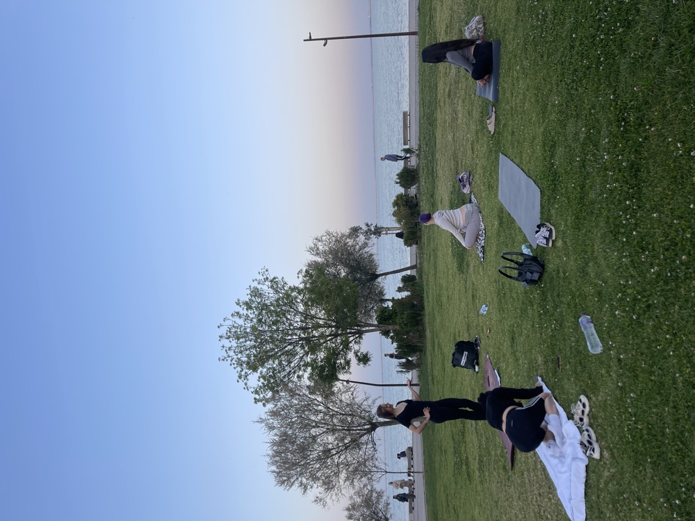 Gruppe beim Yoga auf einer Wiese am Meer, die Arme nach oben gestreckt
